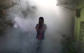 Global Warming Drives Alarming Surge in Dengue Cases, WHO Warns - 1