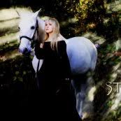 Résultat de recherche d'images pour "stevie nicks on a horse"