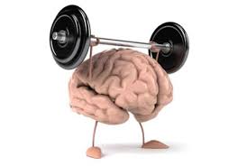 Image result for brain