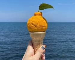 橘子冰淇淋的圖片