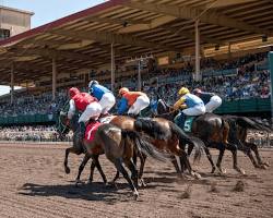 Image of Fairgrounds Racetrack, California