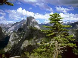 Resultado de imagen para Oakhurst, California