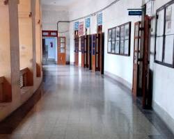 Image of Gujarat Ayurved University Museum