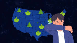 ¿Cómo el clima y el tiempo están prolongando la temporada alérgica en regiones clave?