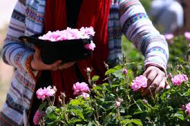 دزدی تازه عربستان از ایران صدای خانم مجری را هم درآورد+ ویدئو