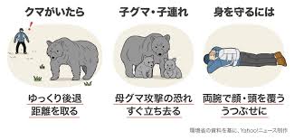 Yahoo!ニュース - News update
