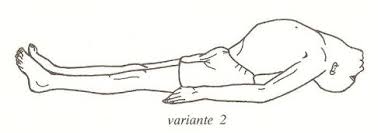 Risultati immagini per matsyasana
