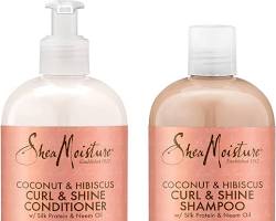 SheaMoisture Coconut & Hibiscus Curl & Shine Shampoo