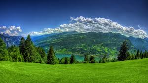 Image result for Amazing HD Nature Wallpapers For Desktop