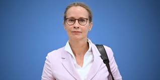 Plagiatsvorwürfe gegen Verfassungsrichterkandidatin Brosius-Gersdorf