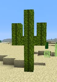 Image result for saguaro cactus