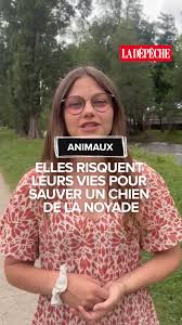 ladepeche.fr - News update