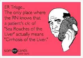 250 Funniest Nursing Quotes and eCards | NurseBuff via Relatably.com