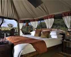 Image of Luxury tented camps, Kenya