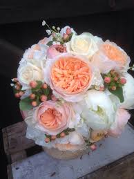Blog — Peppermint Rose Flowers via Relatably.com
