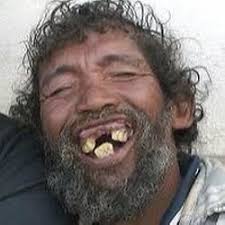 Image result for organisms and their environment