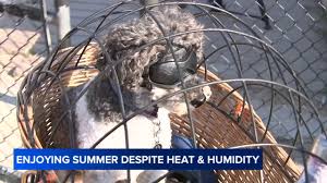 Chicago weather forecast: Heat Advisory in effect Friday for area with heat index values over 100