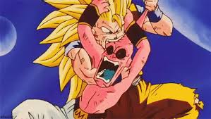 Image result for dragon ball z