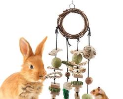 Rabbit toys