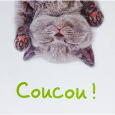 Résultat de recherche d'images pour "image coucou"