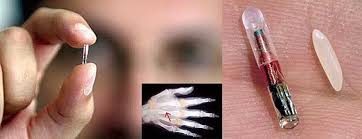 Image result for Human Microchip Implants