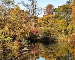 Image of Prospect Park, Brooklyn