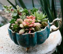 Resultado de imagen de mini jardines caseros en pinterest