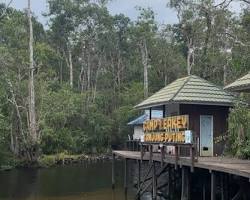 Gambar Camp Leakey di Taman Nasional Tanjung Puting