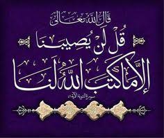 اضغط على الصورة لرؤيتها بالحجم الطبيعي