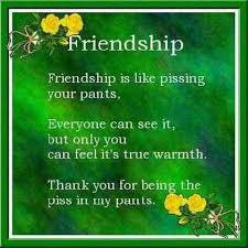 amazing friendship quotes | Cute Flowers with Funny Friendship ... via Relatably.com