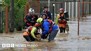 Organización Meteorológica Mundial