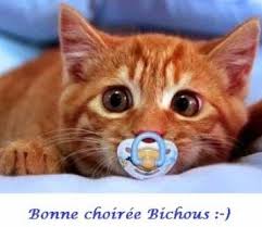 Résultat de recherche d'images pour "images soirée droles"