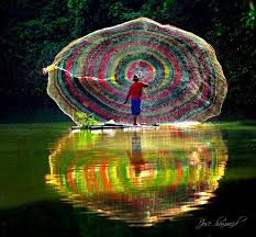 Resultado de imagem para imagens lindas natureza ver