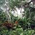Authentic Florida: Relaxing onSt.PeteBeach