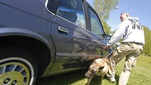 Springs grad says cops violated civil rights