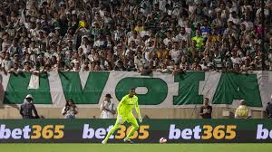 Invencibilidade de Carlos Miguel em casa vira trunfo do Palmeiras para a final