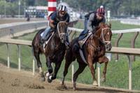 The Daily Gazette - News update