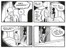 Mister Wonderful (Daniel Clowes) \u0026amp; Paying for it (Chester Brown) - payin-for-it_auschnitt