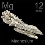 The Magnesium Miracle (Revised and Updated Edition Carolyn)