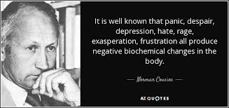 Norman Cousins quote: It is well known that panic, despair ... via Relatably.com