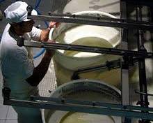 Image of Cheesemaking