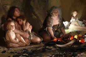 Image result for homo sapiens