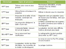 Duree de gestation d'un chat