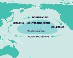 Image of North Pacific Gyre, polluted ocean