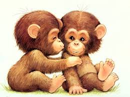 Image result for MONKEYS