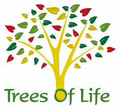 Image result for Tree plantation