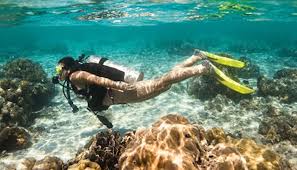 Image result for raja ampat