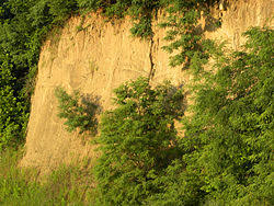 Resultado de imagen para fotos loess de cordoba argentina