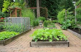 sera sebzeleri ile ilgili görsel sonucu