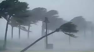 Navbharat Times